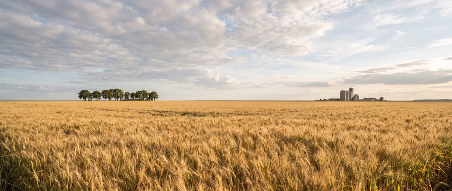 Contrat de forage : ce qu'il doit contenir avant signature